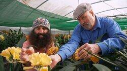 Episode 20 - Winter: Colourful Clivias & Pretty Proteas Episode 20 - Winter: Colourful Clivias & Pretty Proteas