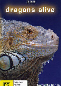 Dragons Alive Dragons Alive