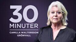 Camilla Waltersson Grönvall, socialtjänstminister Camilla Waltersson Grönvall, socialtjänstminister