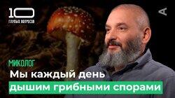 10 глупых вопросов МИКОЛОГУ 10 глупых вопросов МИКОЛОГУ