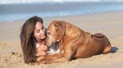 Goodbye My Dog Goodbye My Dog