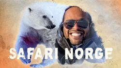 Yosef og isbjørnen Yosef og isbjørnen
