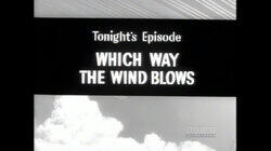 Which Way the Wind Blows Which Way the Wind Blows