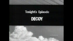 Decoy Decoy