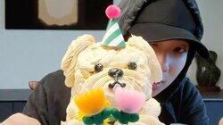 즐추 겸 생일.. 즐추 겸 생일..
