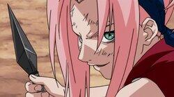 Sakura Blossoms! Sakura Blossoms!