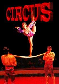 Circus Circus
