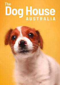 The Dog House Australia The Dog House Australia