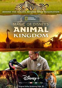 Magic of Disney's Animal Kingdom Magic of Disney's Animal Kingdom