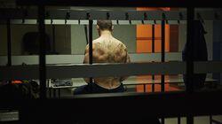 The Coach with the Dragon Tattoo The Coach with the Dragon Tattoo
