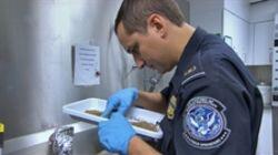 Border Security - 4090 Border Security - 4090