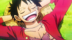 Luffy's Dream Luffy's Dream