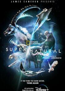 Super/Natural Super/Natural