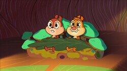 Acorn In My Side Acorn In My Side