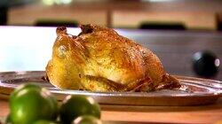 Chicken 101 Chicken 101