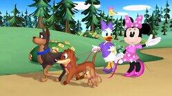A Walk in the Park
