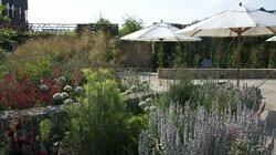 Cleve West, Horatio's Garden, Salisbury