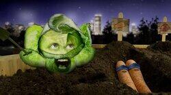 Everybody Loves Cabbage Everybody Loves Cabbage