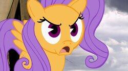 My Little War Horse / Tonight Show with Jay Lion-O My Little War Horse / Tonight Show with Jay Lion-O