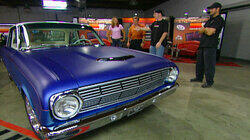 Blue Bird Blue Bird