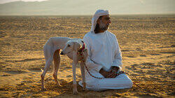 Man's Best Friend Man's Best Friend