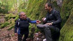 Warwick Davis Warwick Davis
