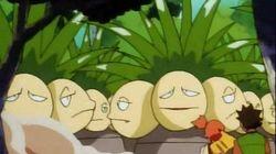 The March of the Exeggutor Squad The March of the Exeggutor Squad