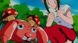 The Problem with Paras The Problem with Paras
