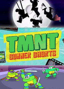 TMNT Summer Shorts TMNT Summer Shorts