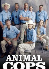 Animal Cops: Houston - Season 1 Animal Cops: Houston - Season 1