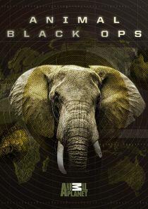 Animal Black Ops Animal Black Ops
