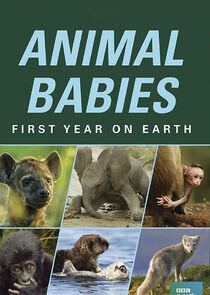 Animal Babies: First Year on Earth - Season 1 Animal Babies: First Year on Earth - Season 1