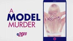 A Model Murder A Model Murder