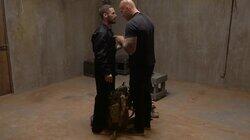 Interrogation