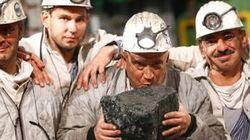 The Coal War The Coal War