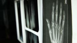 The Incredible Human Hand