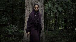 Into the Woods Into the Woods