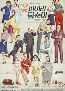 TV Novel: Dal Soon's Spring TV Novel: Dal Soon's Spring