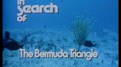 The Bermuda Triangle The Bermuda Triangle