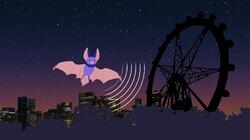 Bats Bats