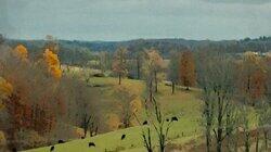 Greener Pastures Greener Pastures