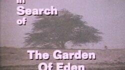 The Garden of Eden The Garden of Eden