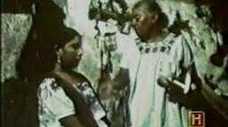 Witch Doctors Witch Doctors