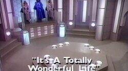 It's a Totally Wonderful Life It's a Totally Wonderful Life