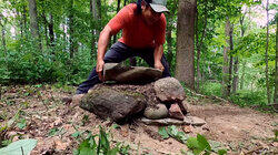 Wilderness Oven Wilderness Oven