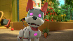 Robo-Dog Day Afternoon / Spoiler Alert Robo-Dog Day Afternoon / Spoiler Alert