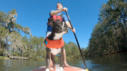 Living the Sweet Life on Johns Island Living the Sweet Life on Johns Island