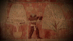 Tut's Curse: The New Evidence Tut's Curse: The New Evidence