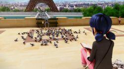 M. Pigeon M. Pigeon