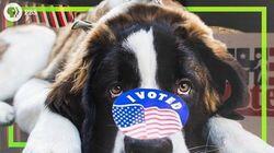 Should We Make Voting Mandatory? Should We Make Voting Mandatory?
